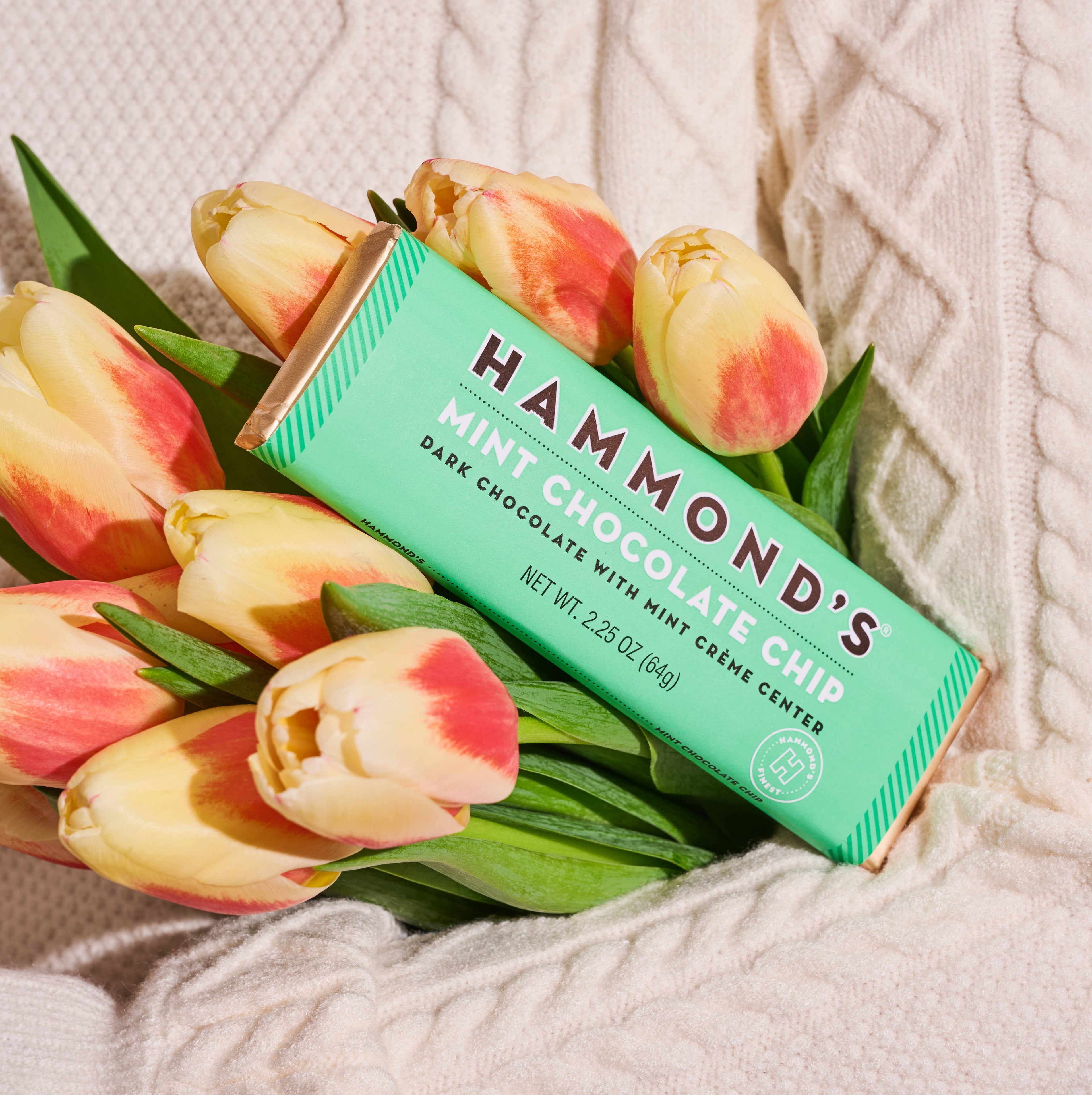 Candy Bar - Dark Chocolate - Mint Chocolate Chip
